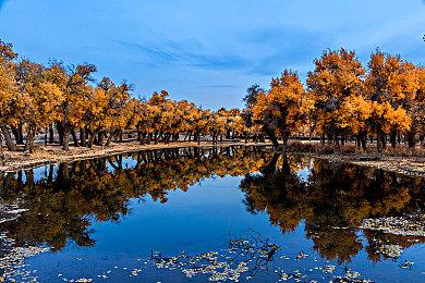 官宣：《匿名代码》将于3月18日20点公开全新预告